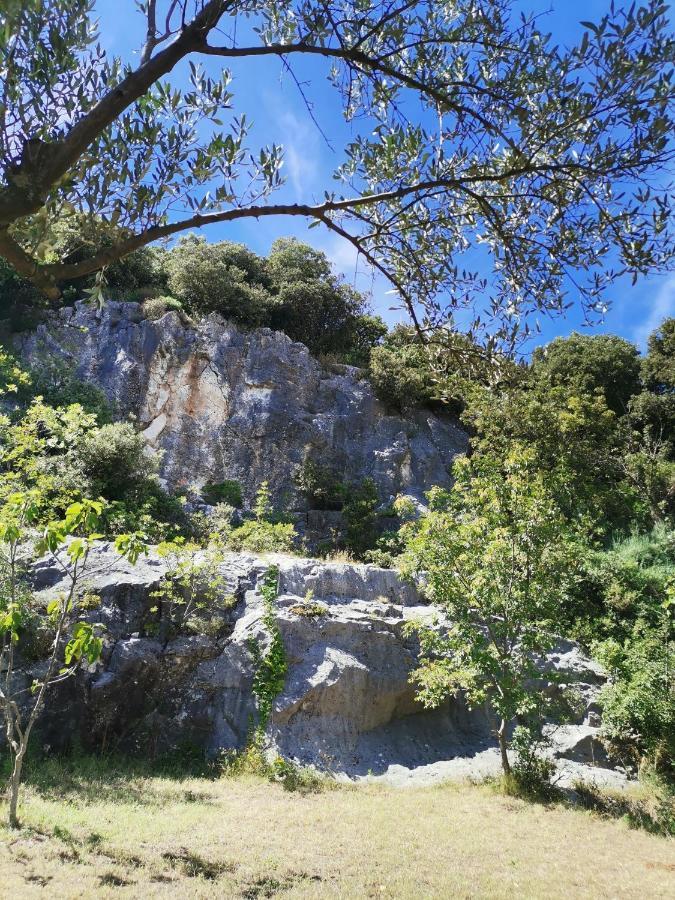 Apartamento Cave With Free Parking Pula Exterior foto