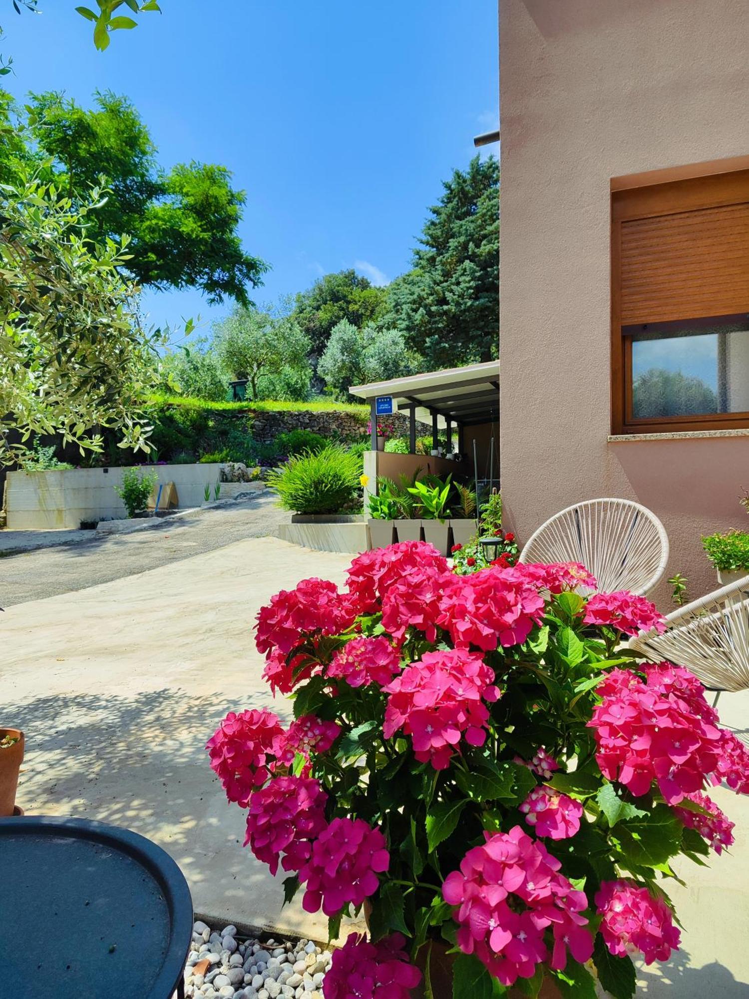 Apartamento Cave With Free Parking Pula Exterior foto